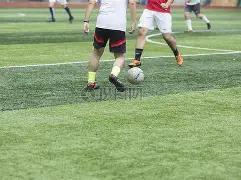 平博体育,资讯,平博体育官网,平博体育官网,平博体育直播,体育赛事直播,足球直播