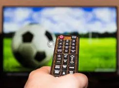 激战正酣,篮网对决魔,战绩背后的,平博体育官网,平博体育直播,体育赛事直播,足球直播