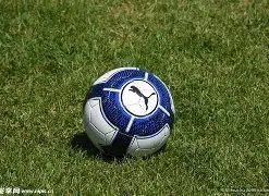 大乐透期号,专家稳荐,重点信息解,平博体育官网,平博体育直播,体育赛事直播,足球直播