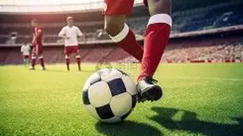 平博体育 产品 065929 rv3