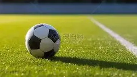 平博体育 产品 131355 hca