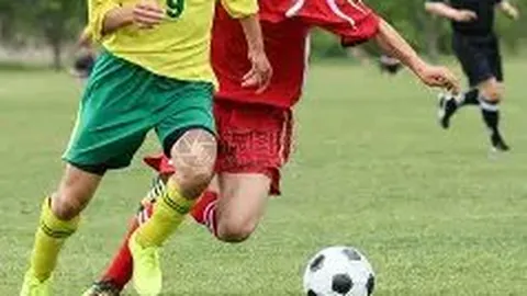 平博体育 产品 131334 vn1