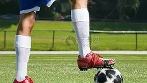 平博体育 产品 131317 ids