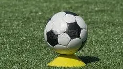 谢鹏飞梅开二度难阻沧州雄狮逆转，博阿滕点球失守大连人败北